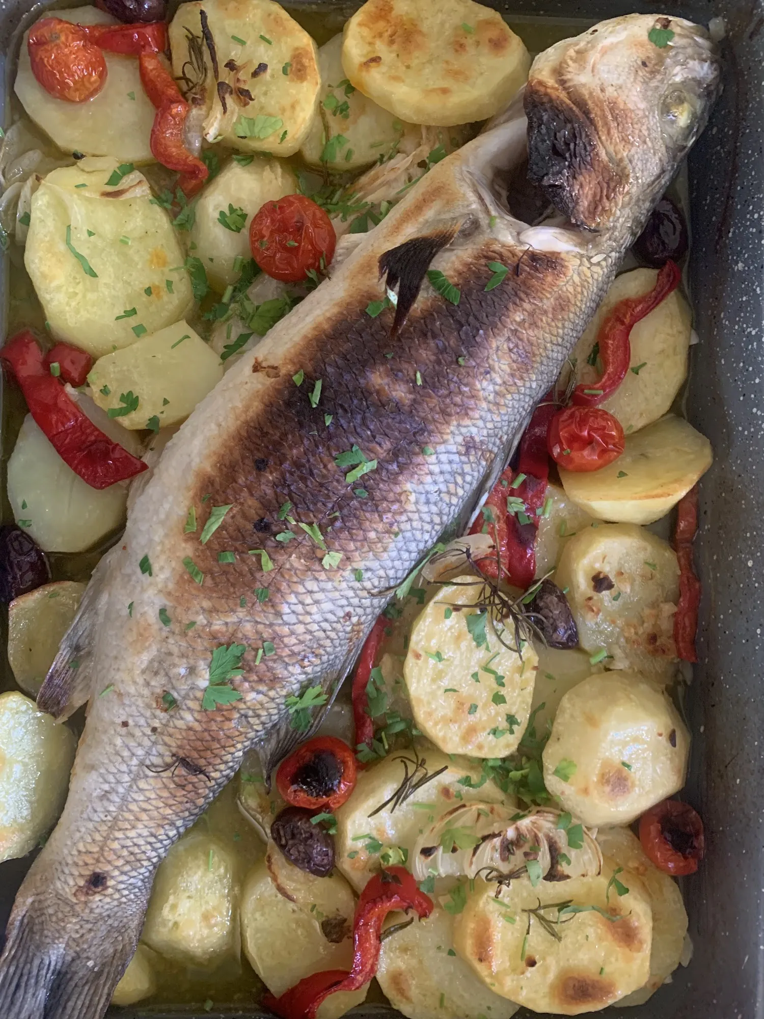 Whole sea bass roasted over potatoes, cherry tomatoes and peppers